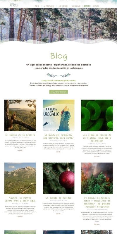Scroll Portfolio_Bosquesalaula